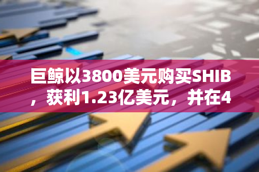 巨鲸以3800美元购买SHIB，获利1.23亿美元，并在40分钟前售出1000亿枚SHIB