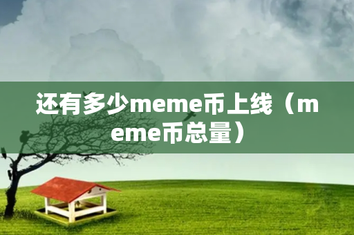 还有多少meme币上线（meme币总量）