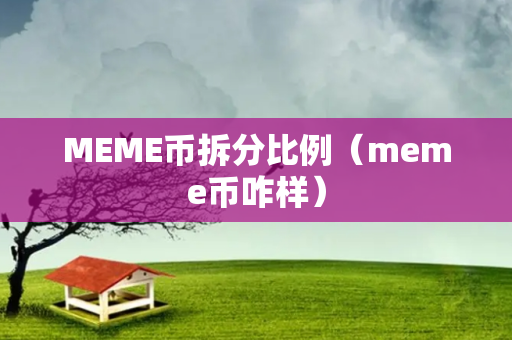 MEME币拆分比例（meme币咋样）