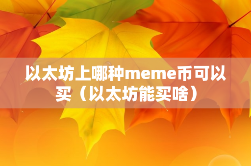 以太坊上哪种meme币可以买（以太坊能买啥）