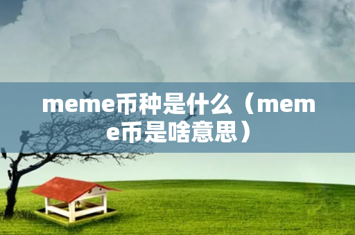 meme币种是什么（meme币是啥意思）