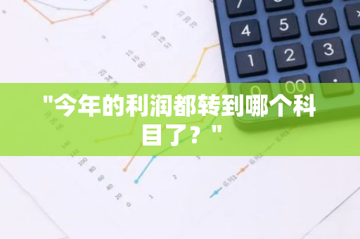 "今年的利润都转到哪个科目了？"