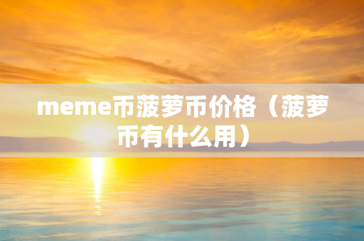 meme币菠萝币价格（菠萝币有什么用）