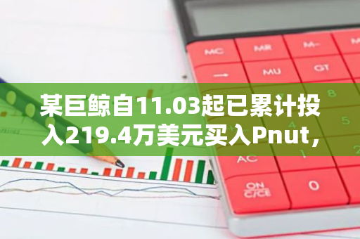 某巨鲸自11.03起已累计投入219.4万美元买入Pnut，浮盈1053万美元