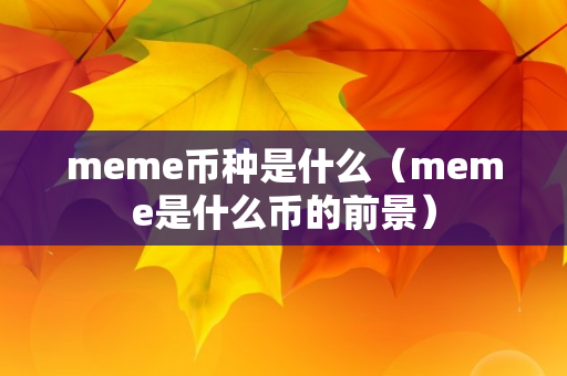 meme币种是什么（meme是什么币的前景）