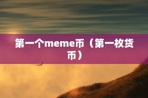 第一个meme币（第一枚货币）