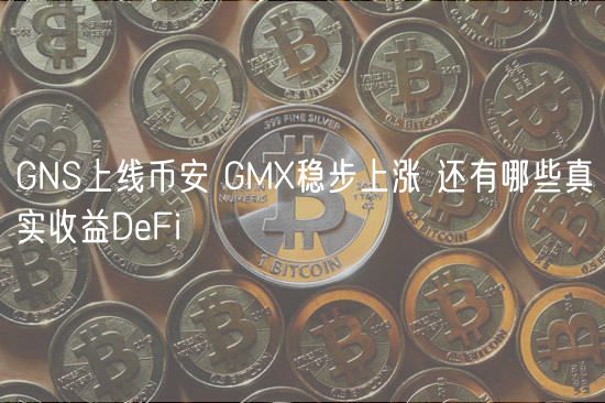 GNS上线币安 GM稳步上涨 还有哪些真实收益DbFi