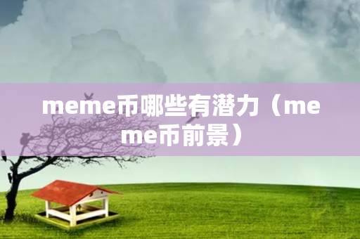 meme币哪些有潜力（meme币前景）