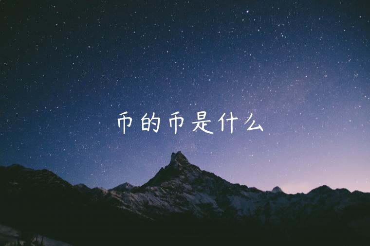 币的币是什么