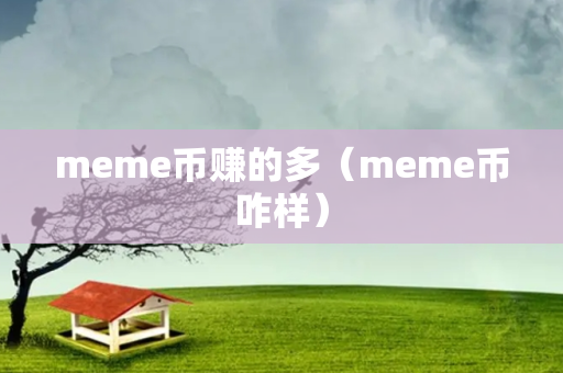 meme币赚的多（meme币咋样）