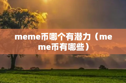 meme币哪个有潜力（meme币有哪些）