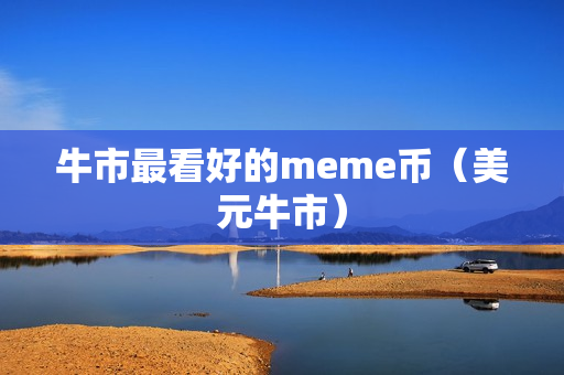 牛市最看好的meme币（美元牛市）