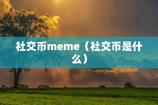 社交币meme（社交币是什么）