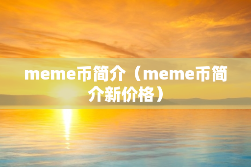 meme币简介（meme币简介新价格）