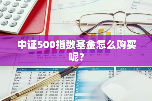 中证500指数基金怎么购买呢？