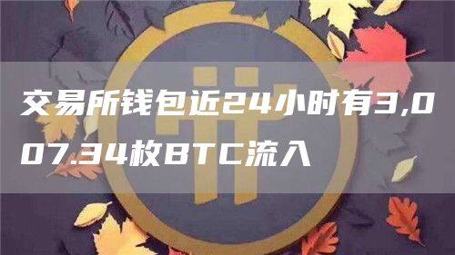 交易所钱包近24小时有3,007.34枚BTC流入