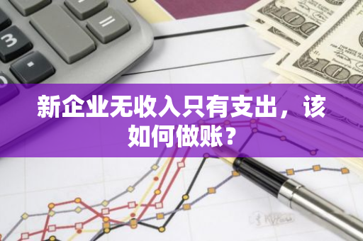 新企业无收入只有支出，该如何做账？