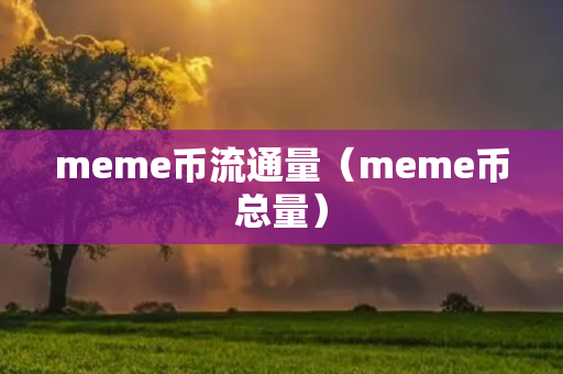 meme币流通量（meme币总量）