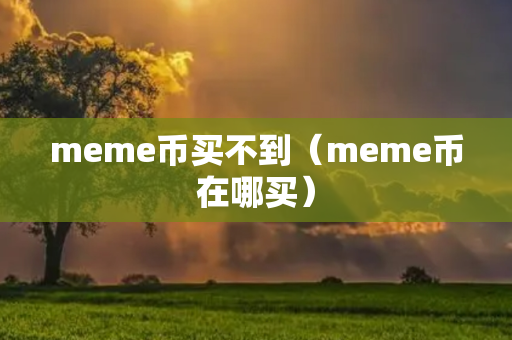 meme币买不到（meme币在哪买）