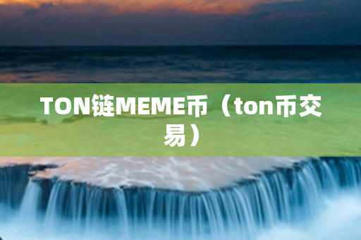 TON链MEME币（ton币交易）