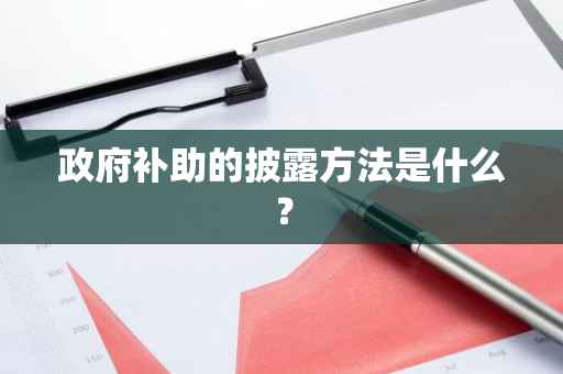 政府补助的披露方法是什么？