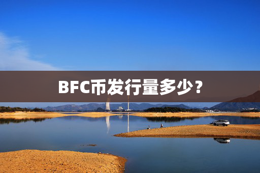 BFC币发行量多少？