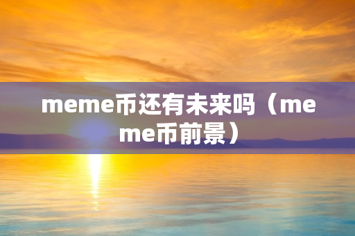 meme币还有未来吗（meme币前景）