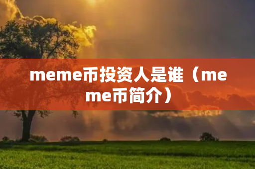 meme币投资人是谁（meme币简介）