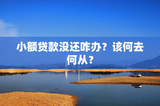 小额贷款没还咋办？该何去何从？