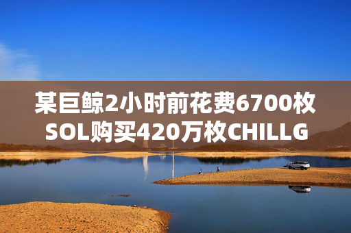 某巨鲸2小时前花费6700枚SOL购买420万枚CHILLGUYS