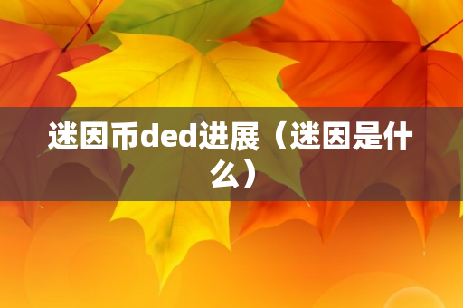 迷因币ded进展（迷因是什么）