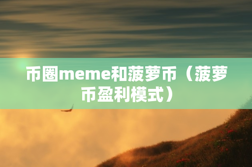 币圈meme和菠萝币（菠萝币盈利模式）