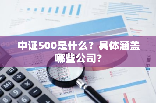 中证500是什么？具体涵盖哪些公司？