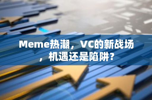 Meme热潮，VC的新战场，机遇还是陷阱？