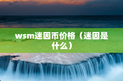 wsm迷因币价格（迷因是什么）