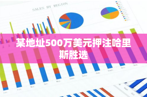 某地址500万美元押注哈里斯胜选