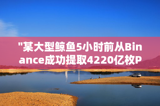 "某大型鲸鱼5小时前从Binance成功提取4220亿枚PEPE，引发市场关注与热议"