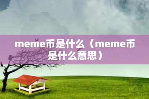 meme币是什么（meme币是什么意思）