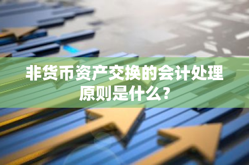 非货币资产交换的会计处理原则是什么？