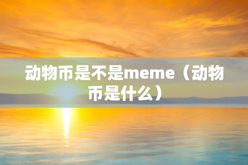 动物币是不是meme（动物币是什么）