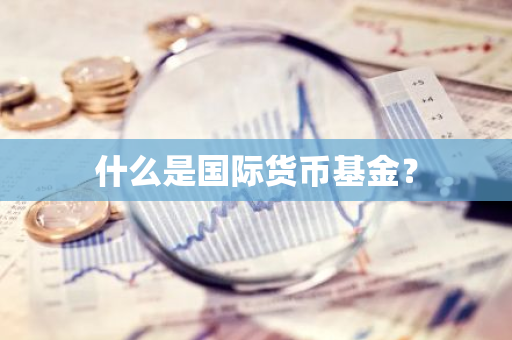 什么是国际货币基金？