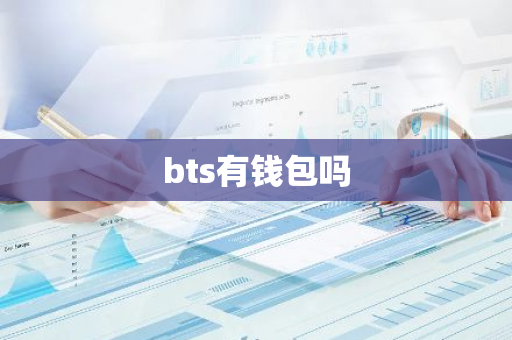 bts有钱包吗