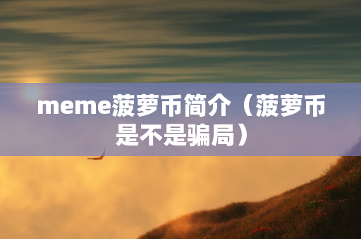 meme菠萝币简介（菠萝币是不是骗局）