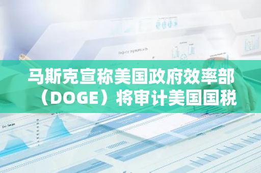 马斯克宣称美国政府效率部（DOGE）将审计美国国税局