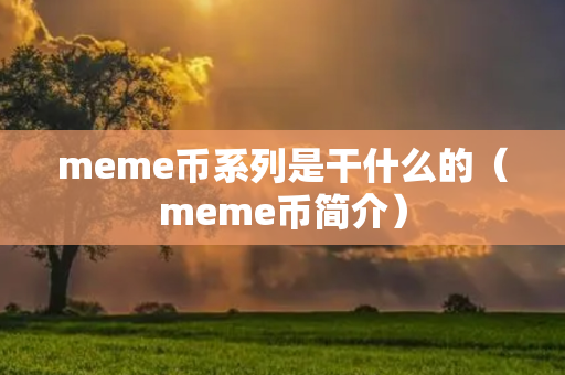 meme币系列是干什么的（meme币简介）