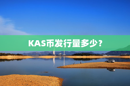 KAS币发行量多少？