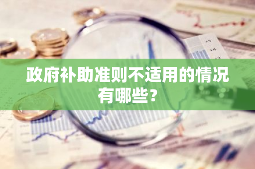 政府补助准则不适用的情况有哪些？