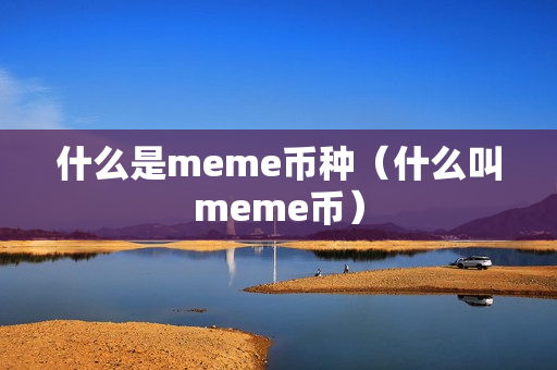 什么是meme币种（什么叫meme币）