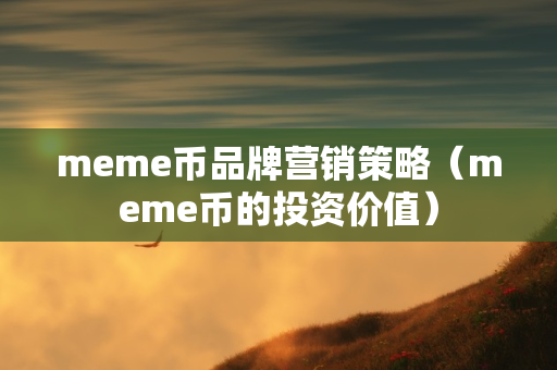 meme币品牌营销策略（meme币的投资价值）