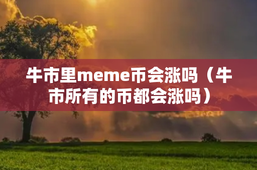 牛市里meme币会涨吗（牛市所有的币都会涨吗）